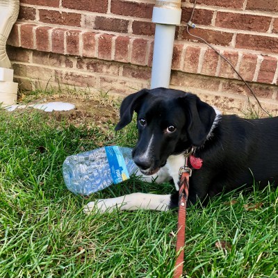 Ben: A 9-Month (P)update